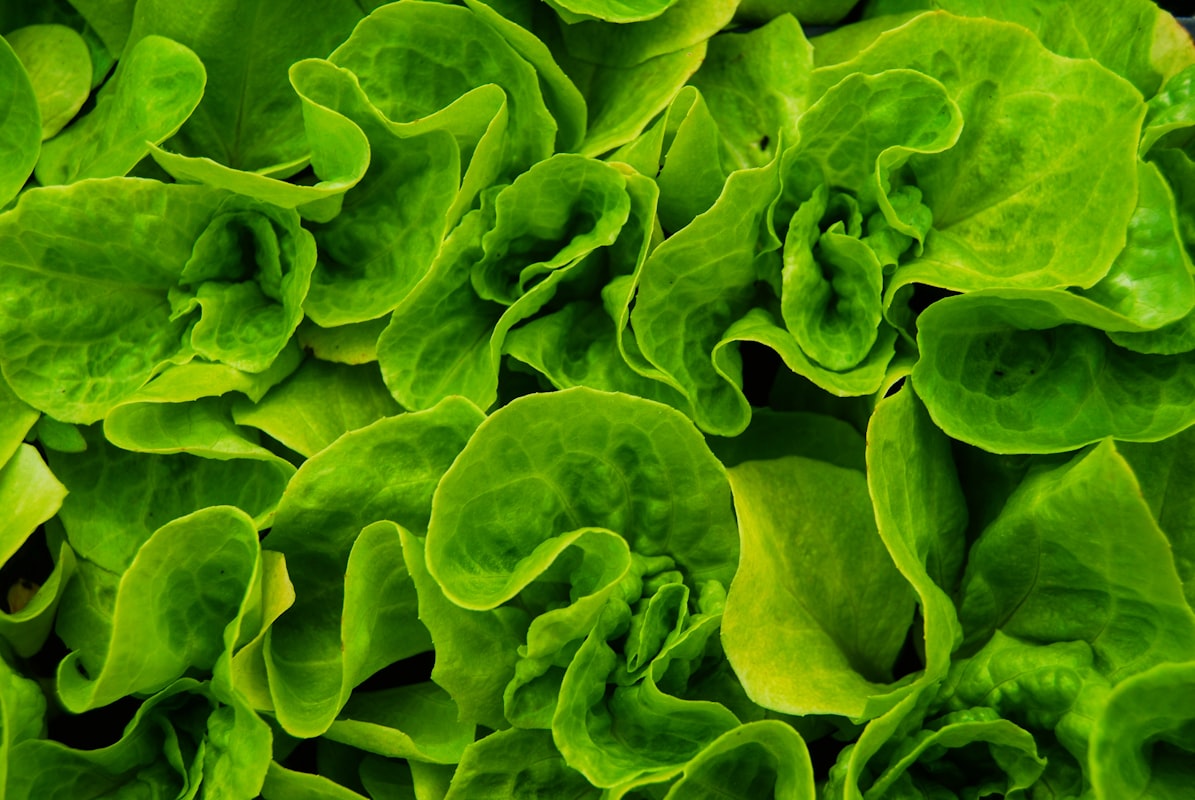 Idratazione: quanto bere e quali bevande scegliere quotidianamente